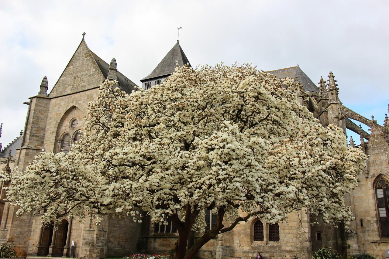 La Tocade Del Arte - Dinan Bed & Breakfast Lanvallay Exterior photo
